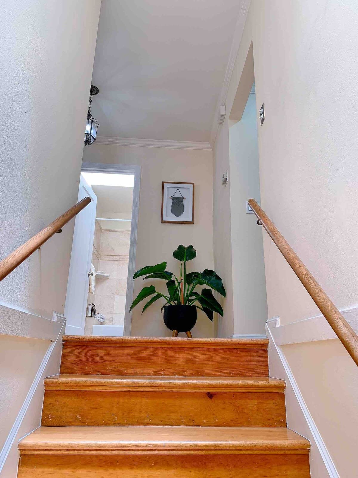 Ocean View Home Steps to Beach & Golden Gate Park - Photo 23