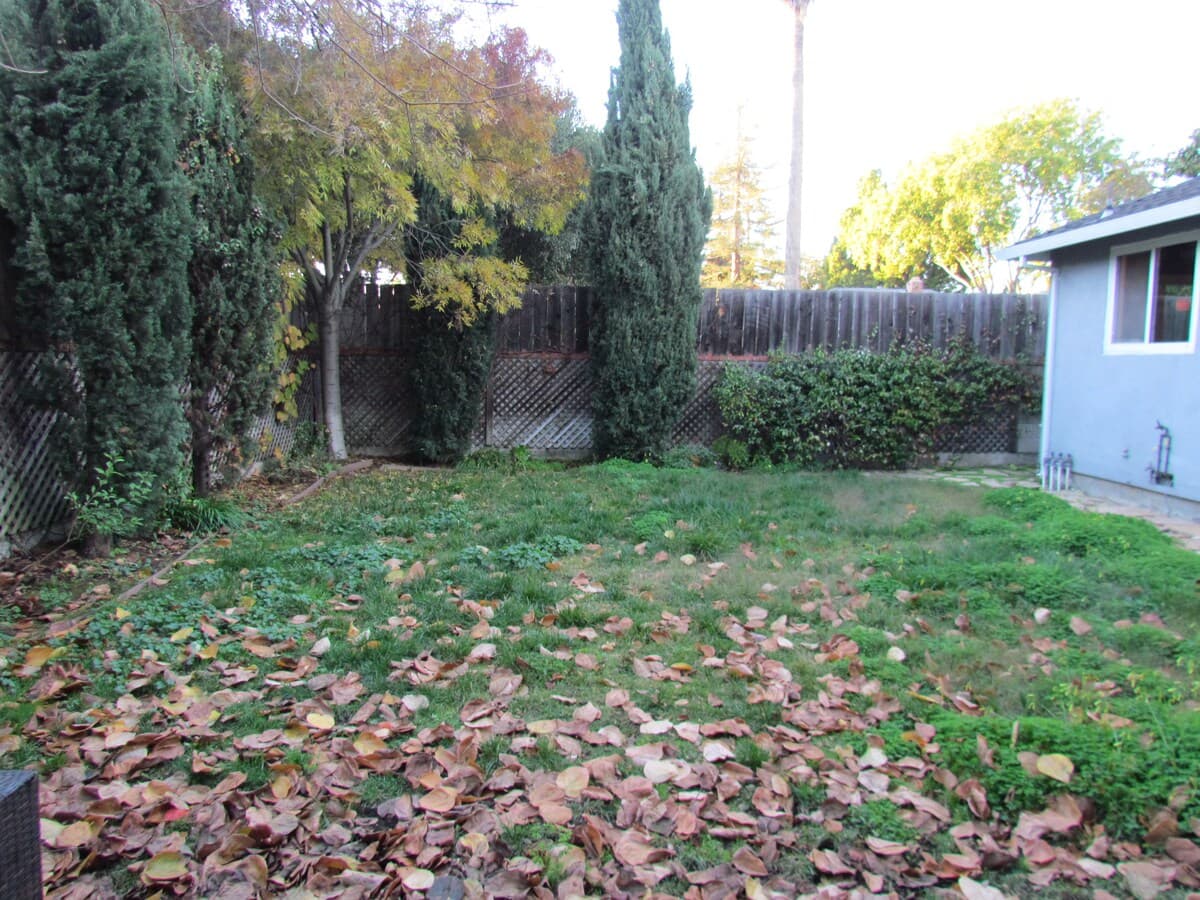 Home in Mountain View · ★4.91 · 3 bedrooms · 7 beds · 2 baths - Image 17