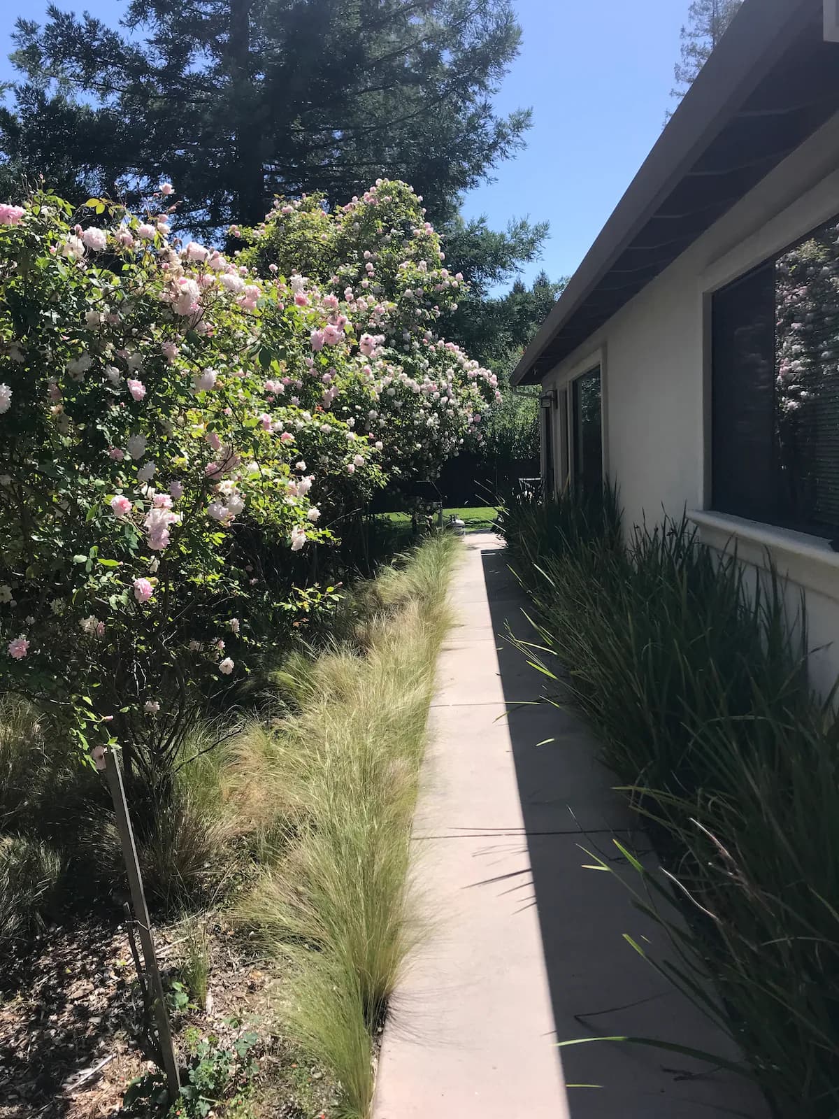 Home in Palo Alto · ★4.91 · 2 bedrooms · 2 beds · 1 bath - Image 13
