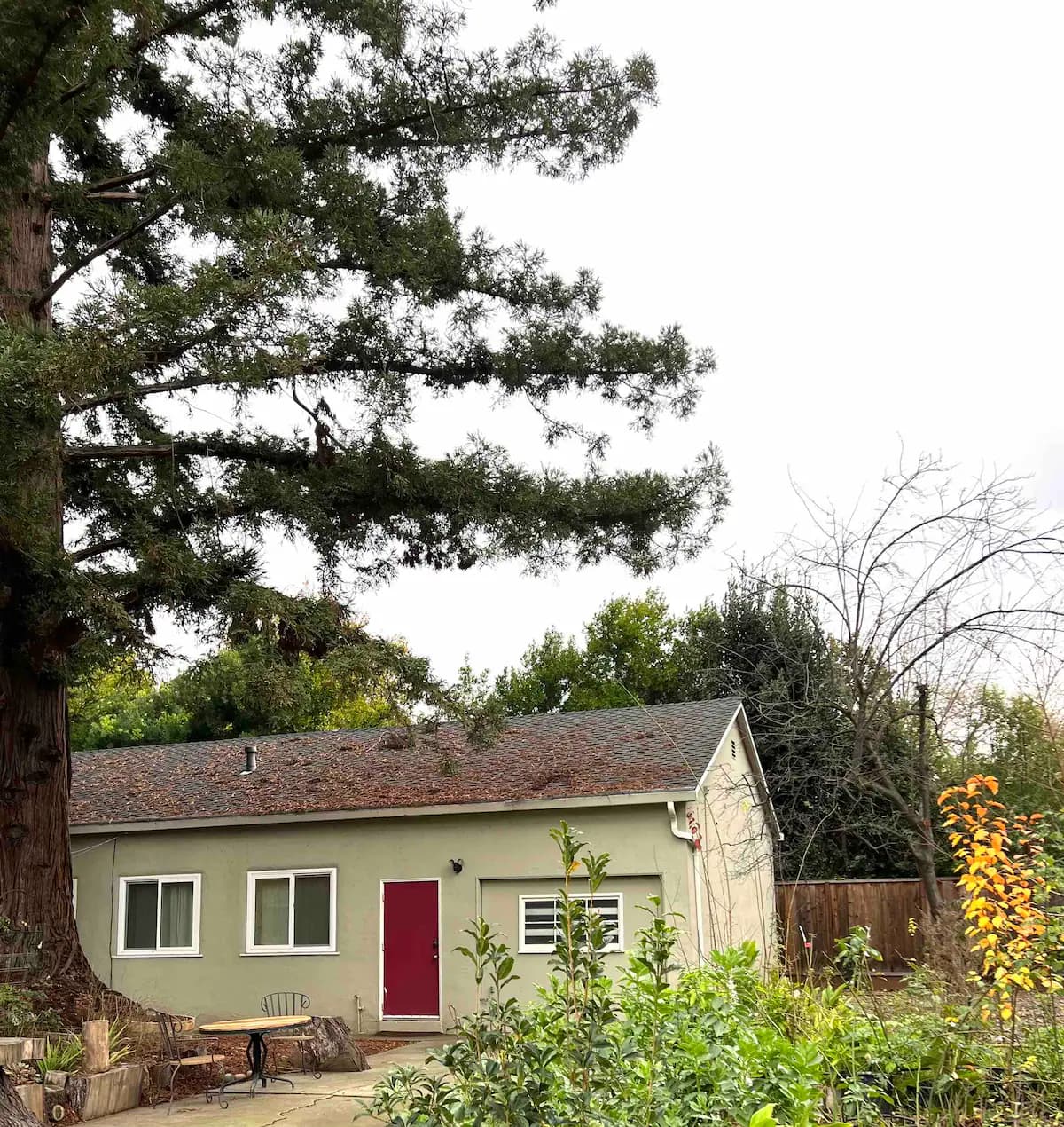 Guesthouse in Menlo Park · ★4.85 · 2 bedrooms · 4 beds · 1 bath - Image 36