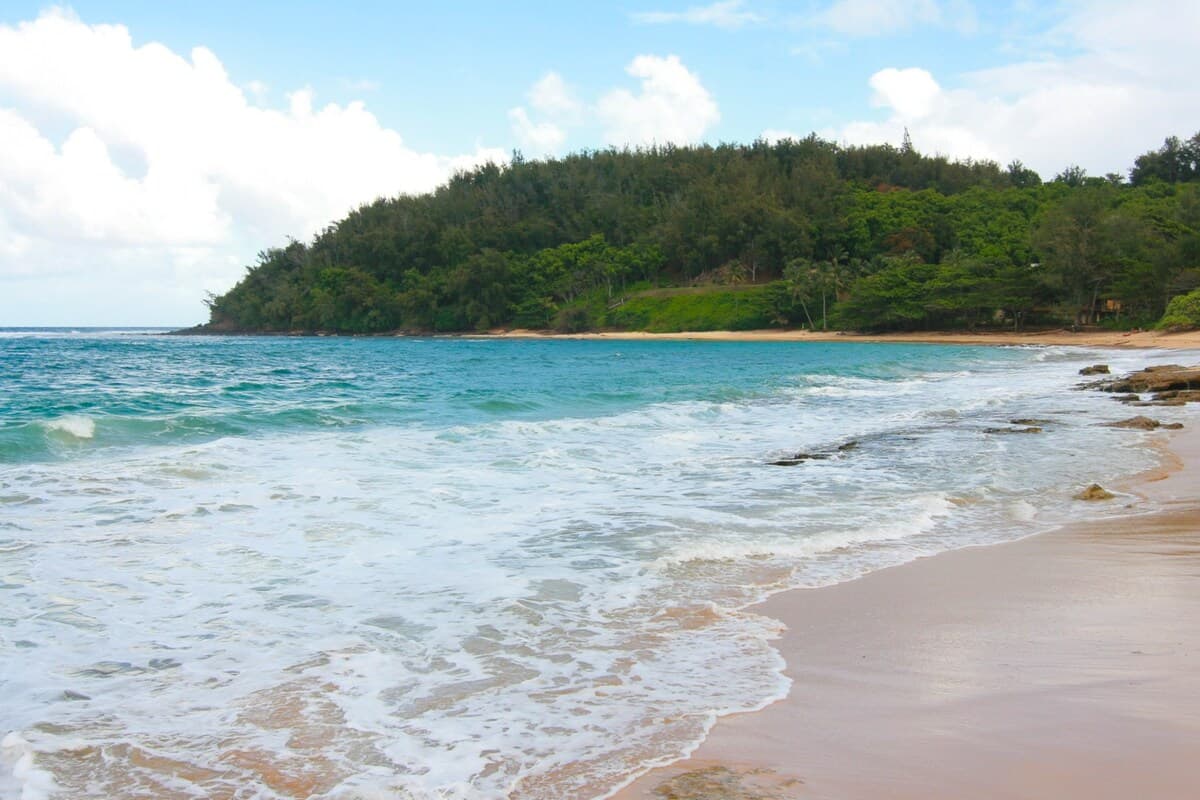 Spectacular Moloa'a Bay on the Beach - Image 12