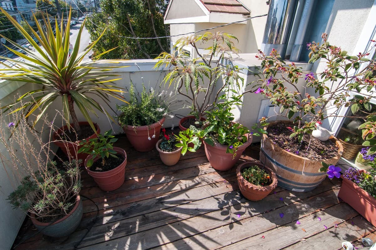 Potrero Hill Loft with 4 Decks & City Views - Photo 30