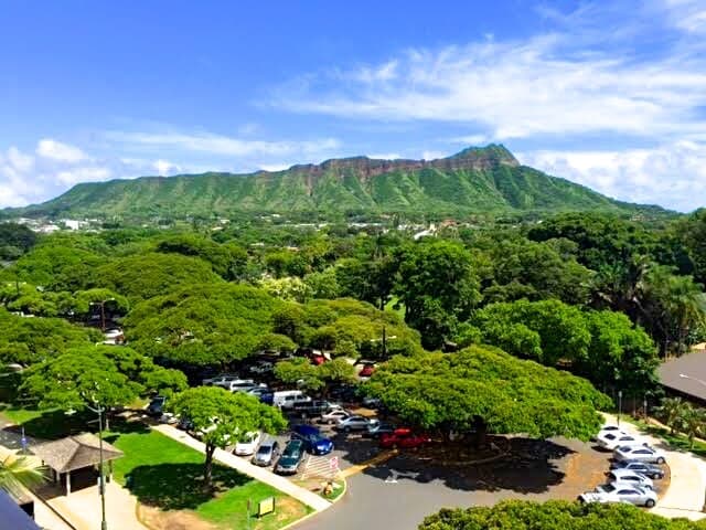 RARE HAWAIIAN DIAMOND - Image 50