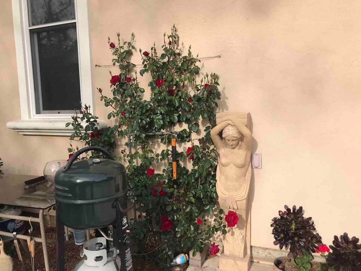 Guesthouse in Los Altos Hills · ★4.85 · 2 bedrooms · 2 beds · 1 bath - Image 40
