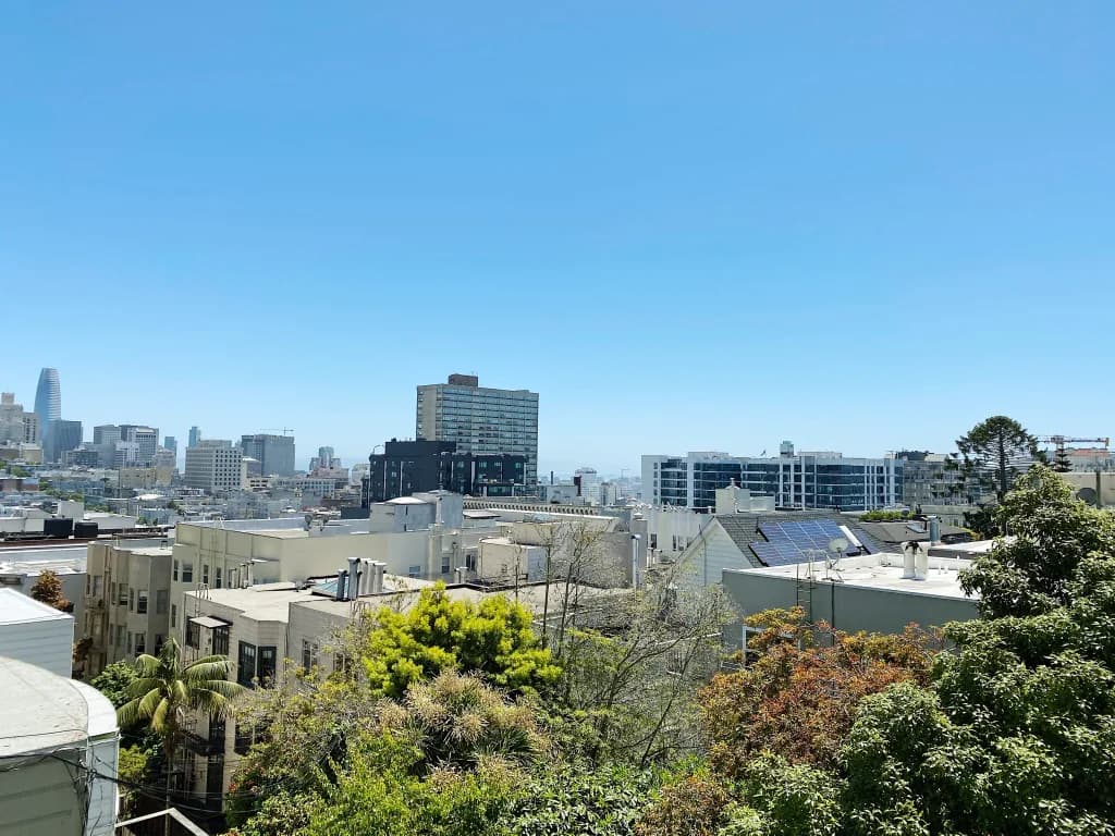 Pacific Heights Penthouse with Skyline Views - Photo 16