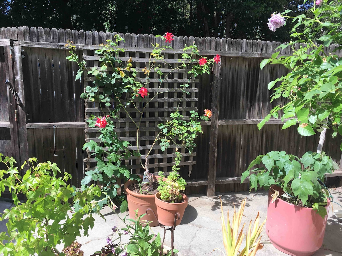 Guesthouse in Atherton · ★5.0 · 1 bedroom · 1 bed · 1 bath - Image 40