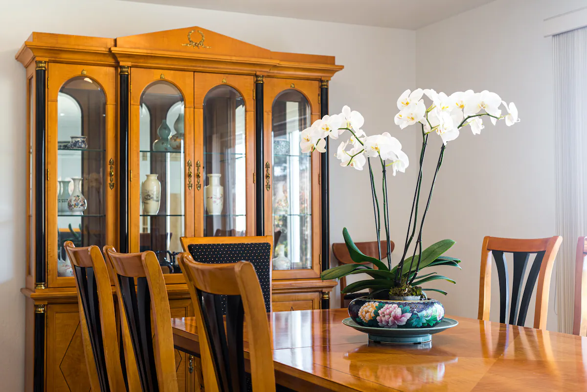 Home in Daly City · ★4.93 · 3 bedrooms · 4 beds · 2 baths - Image 15