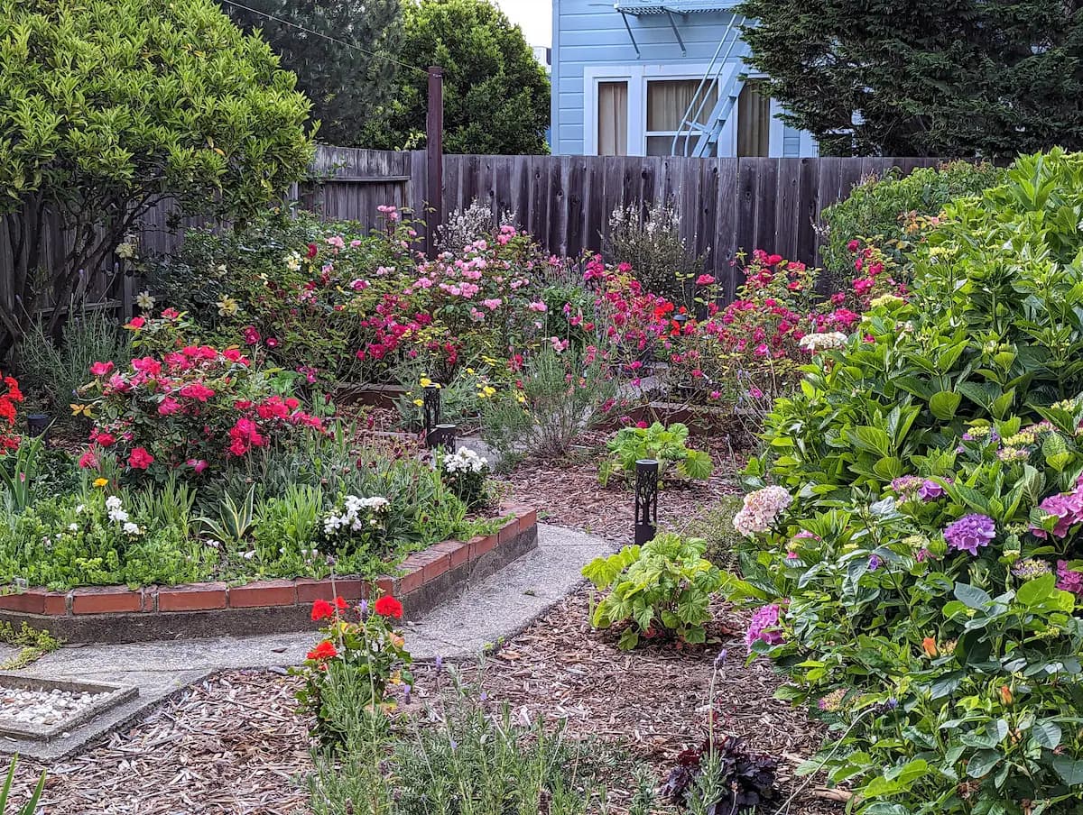 Sunny Noe Valley Flat with Rose Garden Views - Photo 8