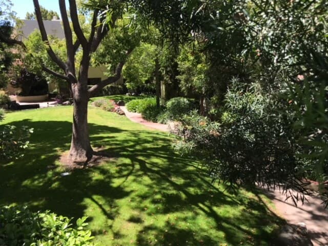 Steps to Cal Ave, Pool & Hot Tub, Near Stanford - Photo 19