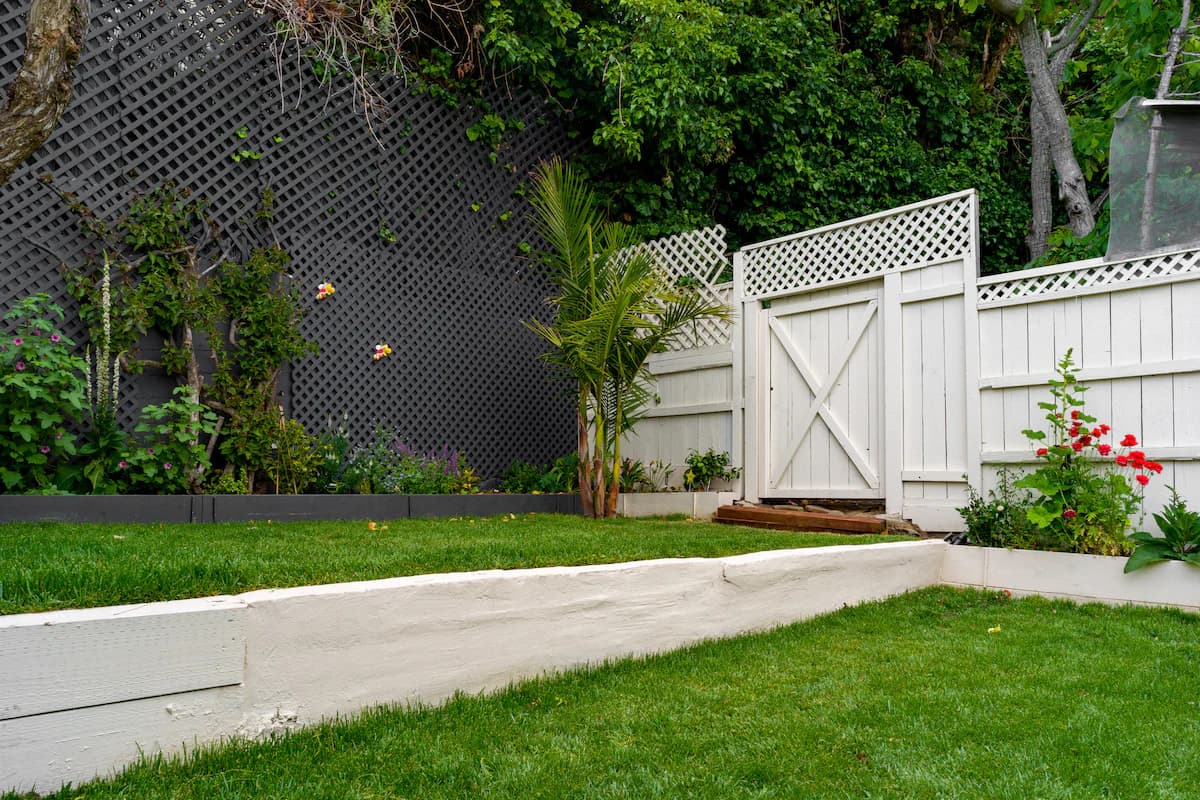 Noe Valley Home Steps from Dolores Park - Photo 21