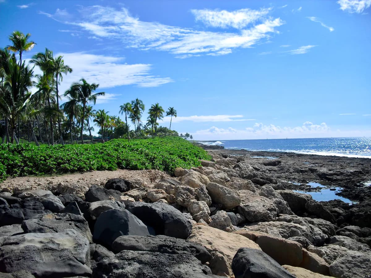 Condo in Kapolei · ★4.92 · 2 bedrooms · 5 beds · 2 private baths - Image 55