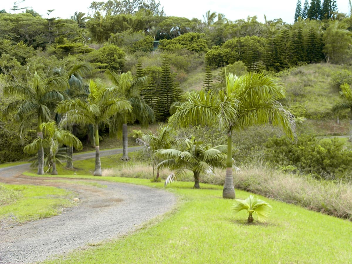 Guesthouse in Haiku-Pauwela · ★4.88 · Studio · 3 beds · 1 private bath - Image 15