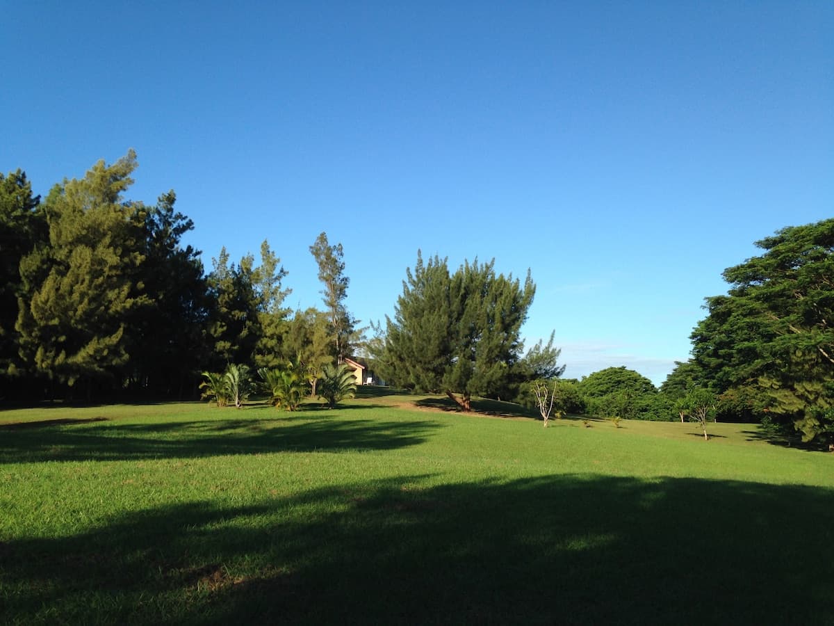 Guesthouse in Haiku-Pauwela · ★4.88 · Studio · 3 beds · 1 private bath - Image 11