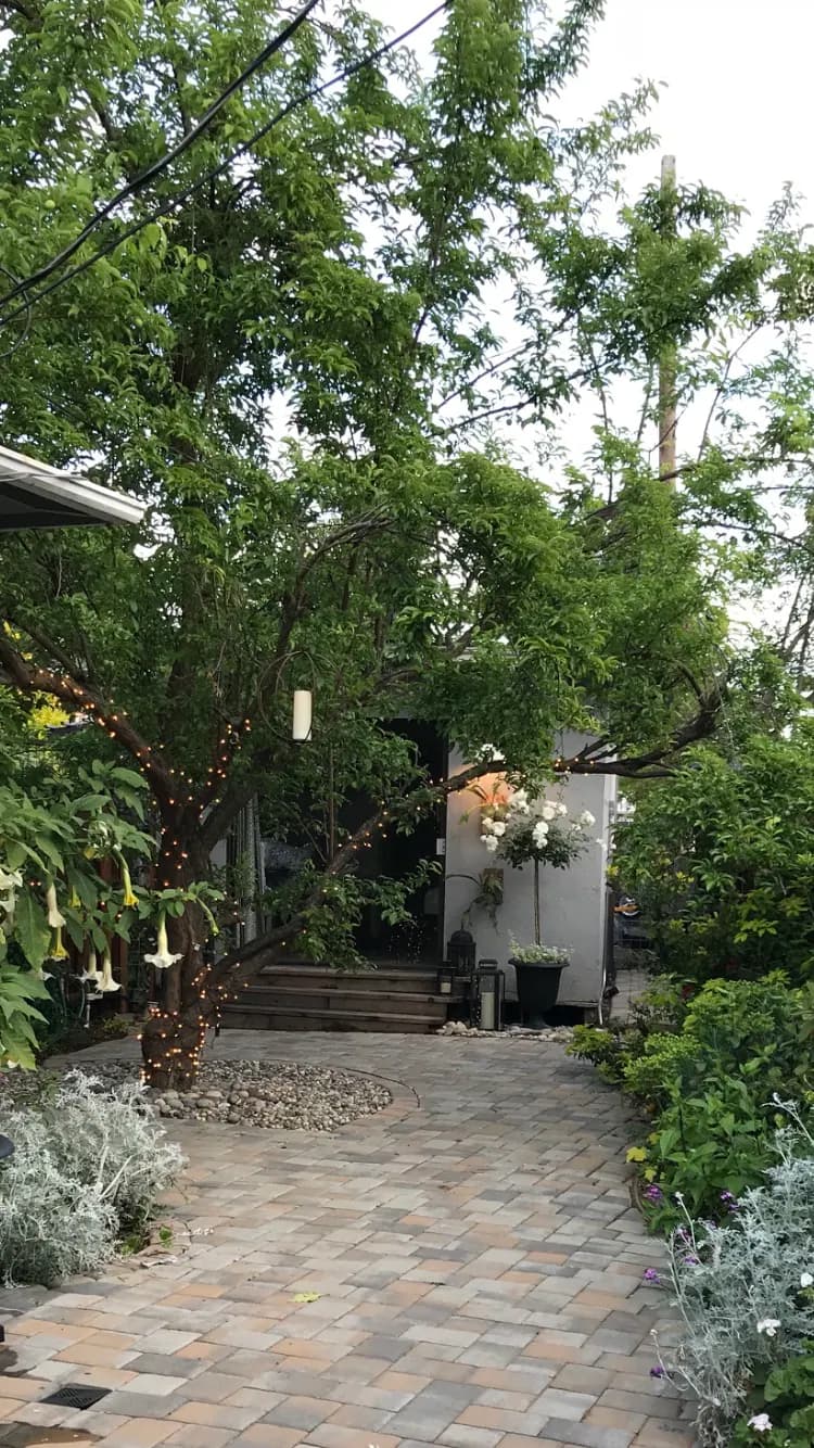 Charming Backyard Cottage in Sunnyvale Garden - Photo 21