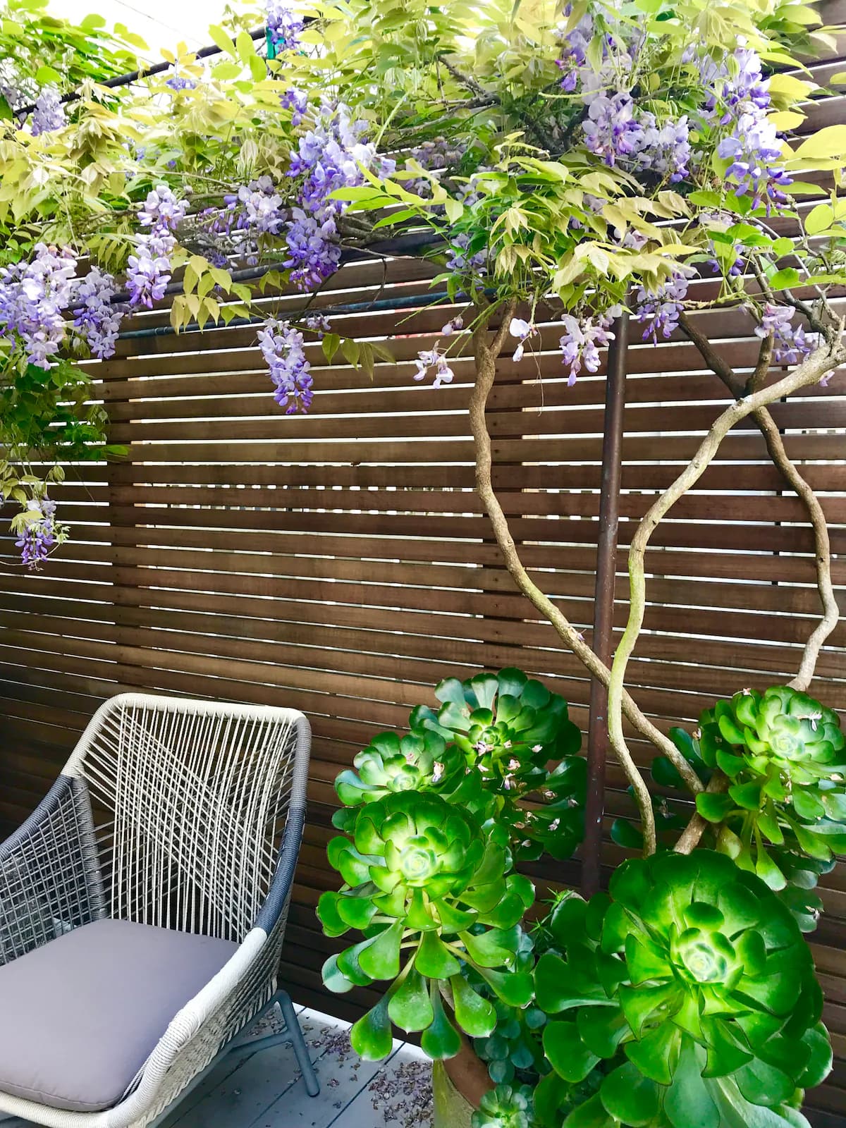 Rare Full-Floor Pacific Heights Retreat - Photo 29