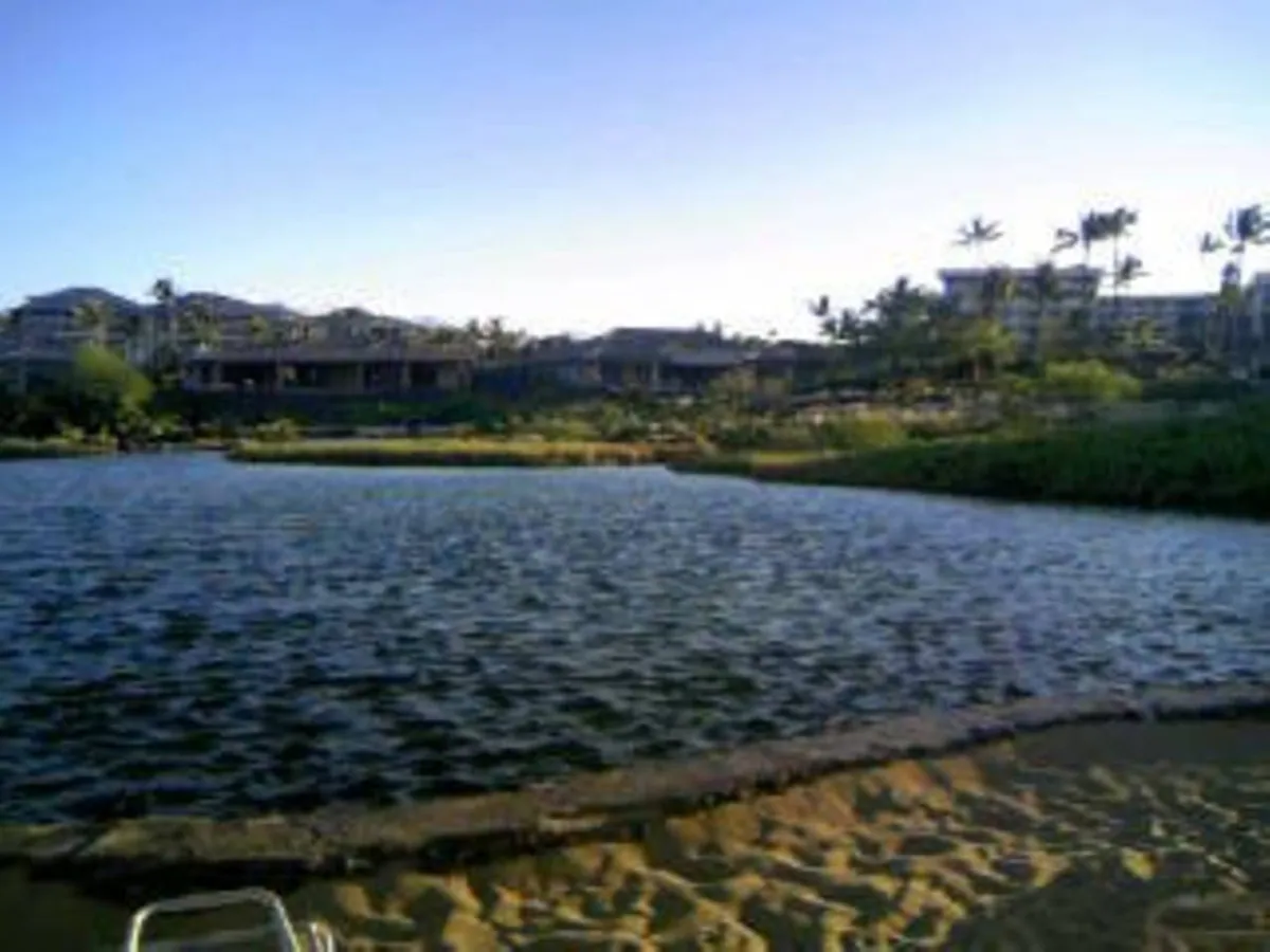 Villa in Waikoloa Village · ★5.0 · 2 bedrooms · 5 beds · 2 baths - Image 39