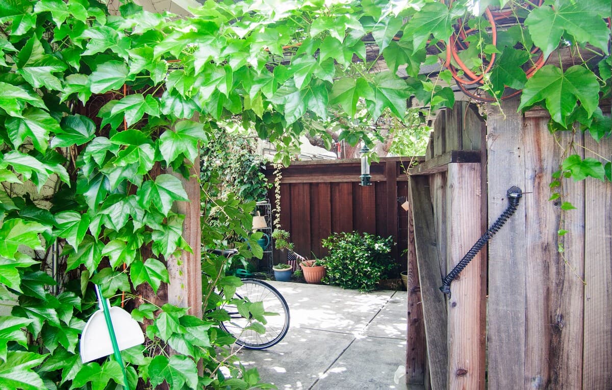 Home in Mountain View · ★4.88 · 1 bedroom · 1 bed · 1 bath - Image 20