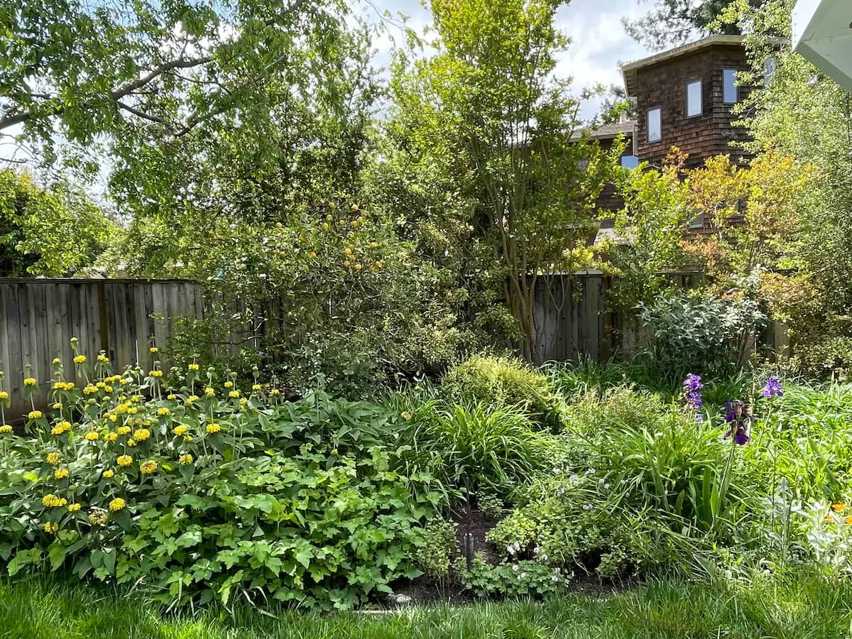 Guesthouse in Menlo Park · ★4.94 · 1 bedroom · 2 beds · 1 bath - Image 27