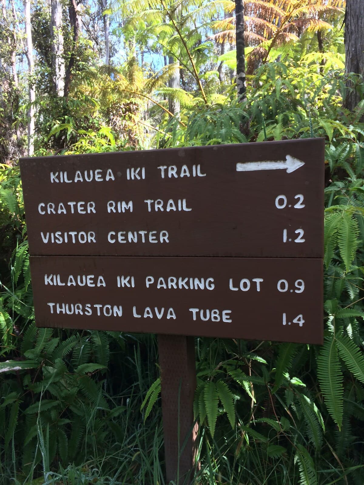 Explorer's Bungalow - Explore Volcanoes NP! - Image 39