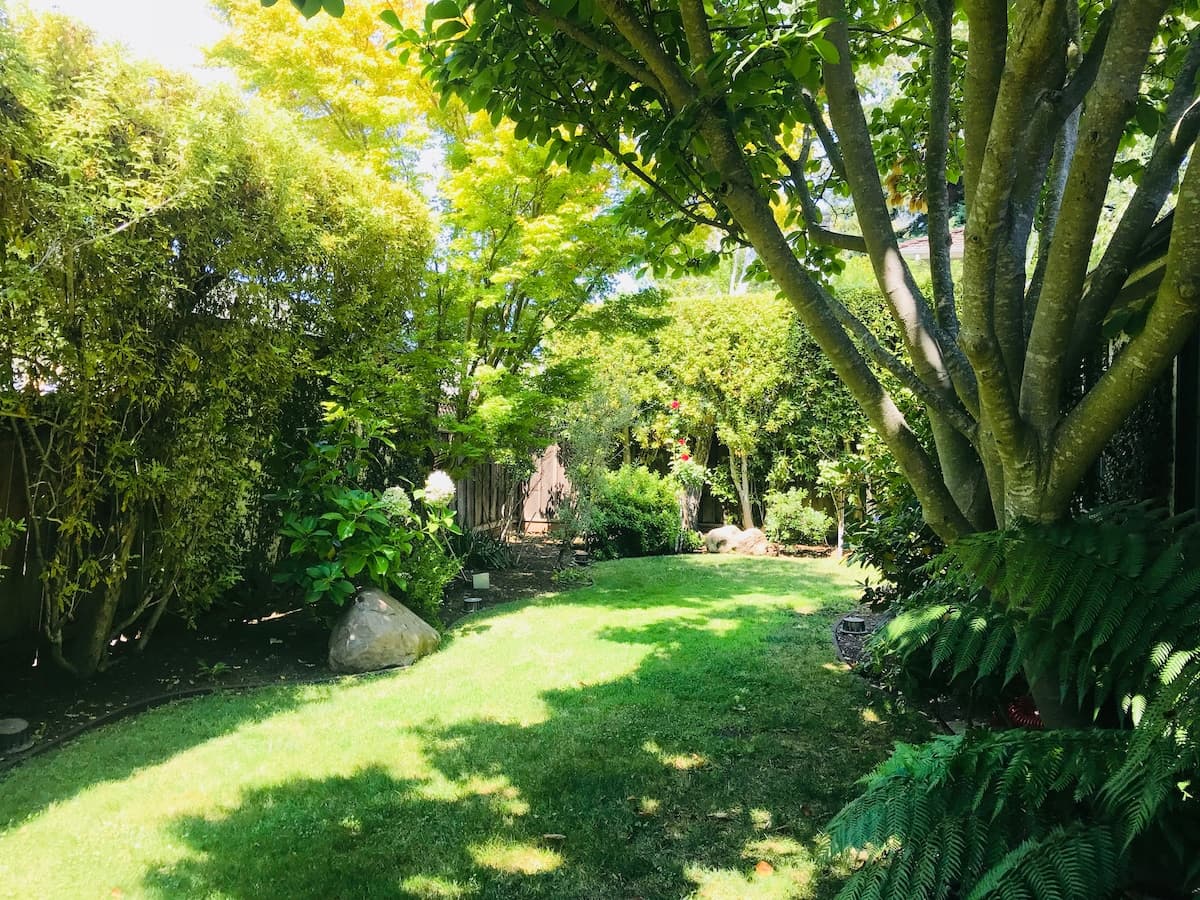 Guesthouse in Menlo Park · ★4.91 · 2 bedrooms · 2 beds · 1 bath - Image 26