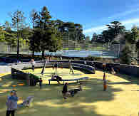 Light-Filled 2BR Near Presidio & Golden Gate Park - Photo 10