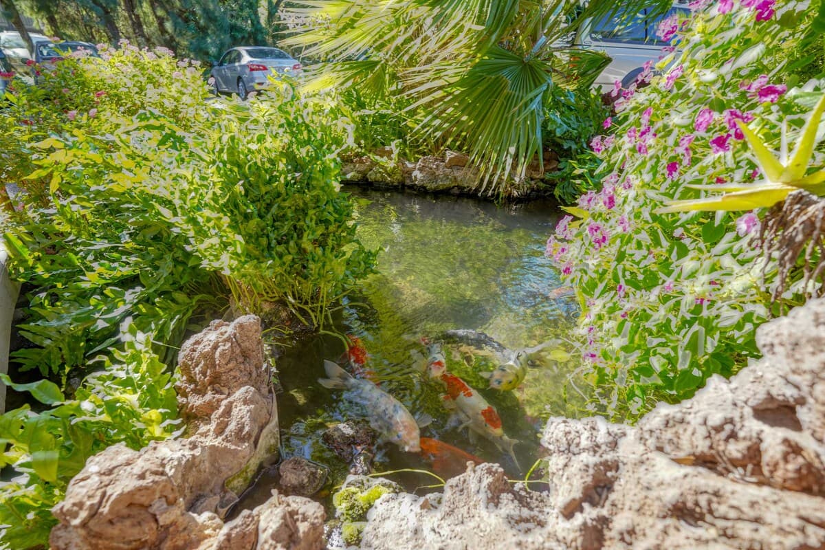 Condo in Wailuku · ★4.75 · 1 bedroom · 1 bed · 1 bath - Image 41