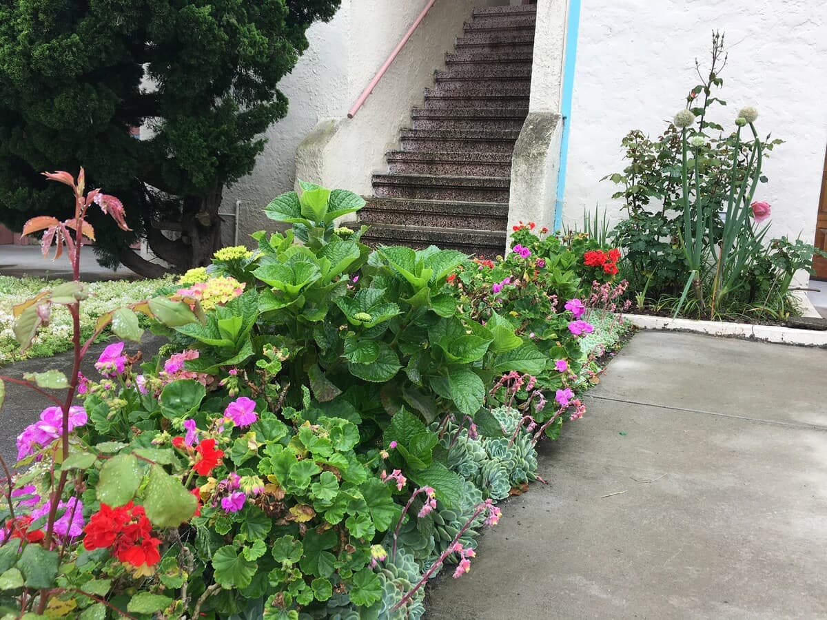 Private Garden Retreat by Golden Gate Park - Photo 26