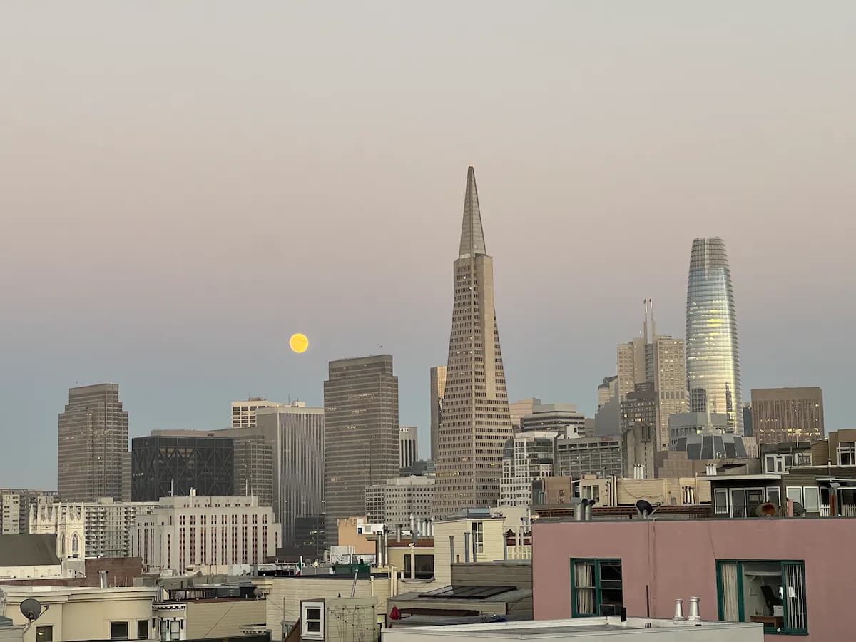 Russian Hill Architectural Gem with Bay Views - Photo 39