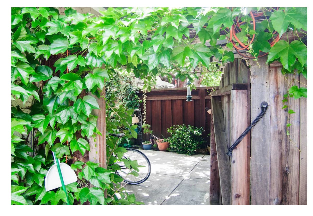 Home in Mountain View · ★4.85 · 4 bedrooms · 6 beds · 3 baths - Image 40