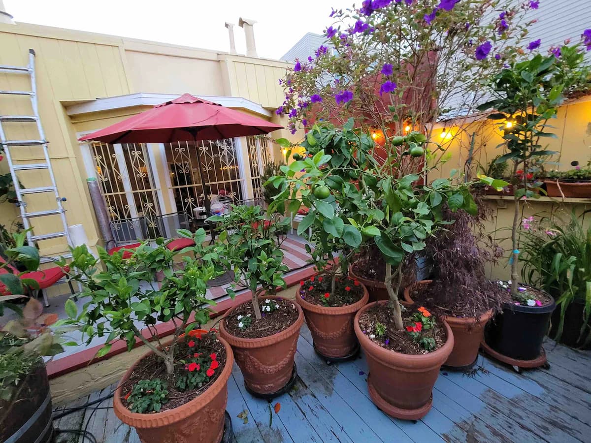 Nob Hill Suite Historic Home, Walk Everywhere - Photo 52