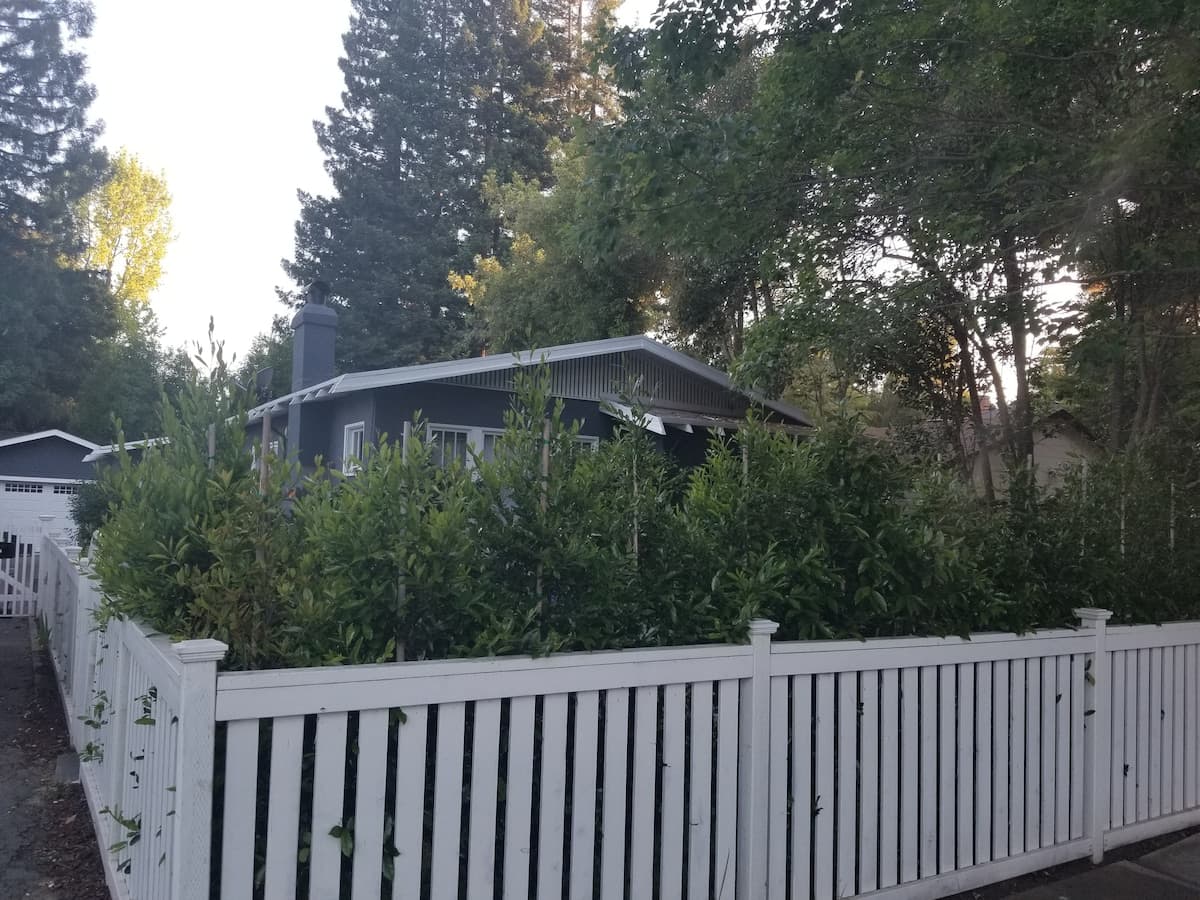 Remodeled Home Near Stanford, Private Yard - Photo 1