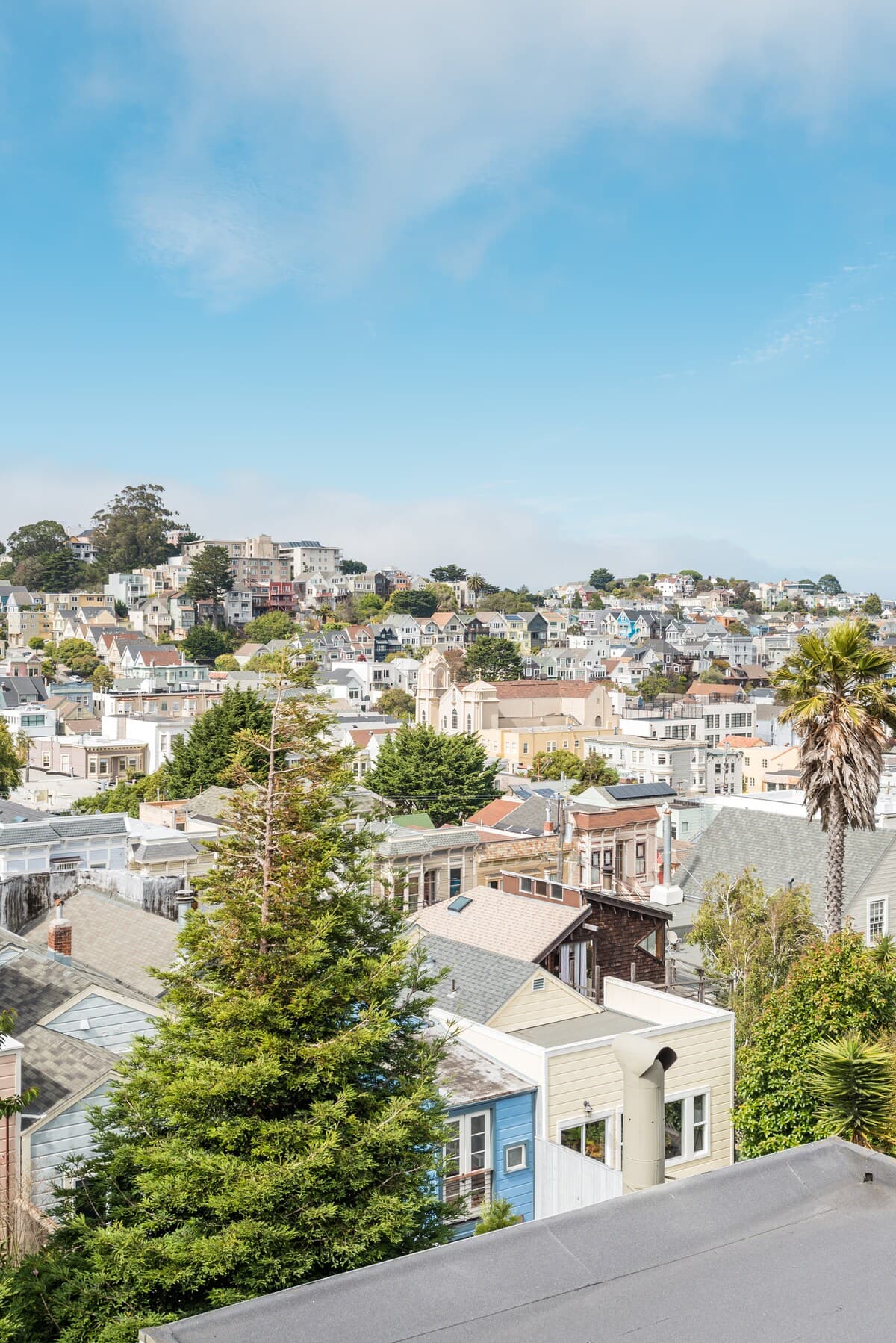 Noe Valley Victorian Reborn Bay Views, Garden - Photo 56