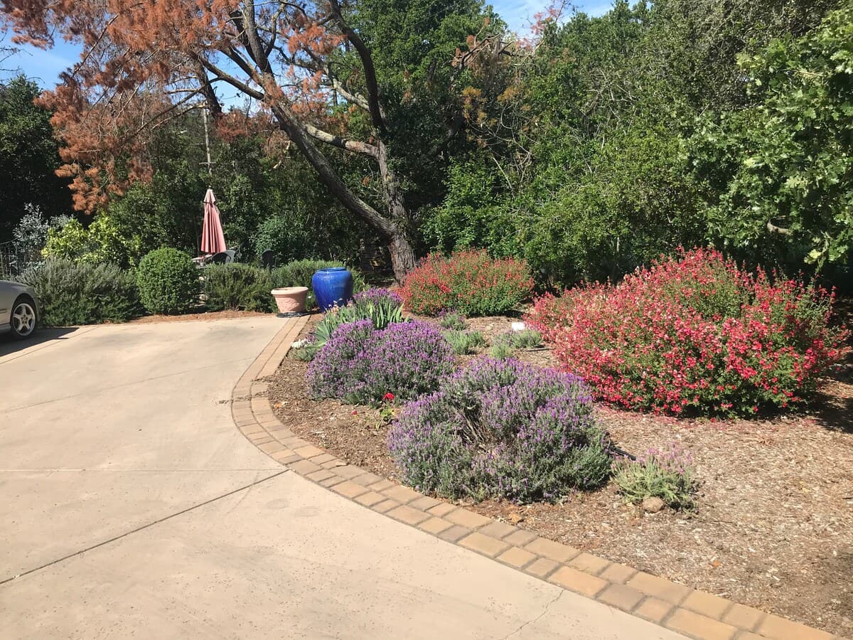 Guesthouse in Los Altos Hills · ★4.85 · 2 bedrooms · 2 beds · 1 bath - Image 37