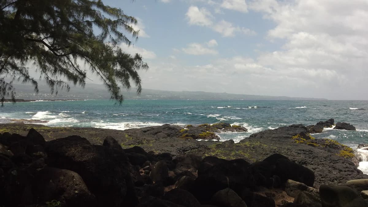 Explorer's Bungalow - Explore Volcanoes NP! - Image 46