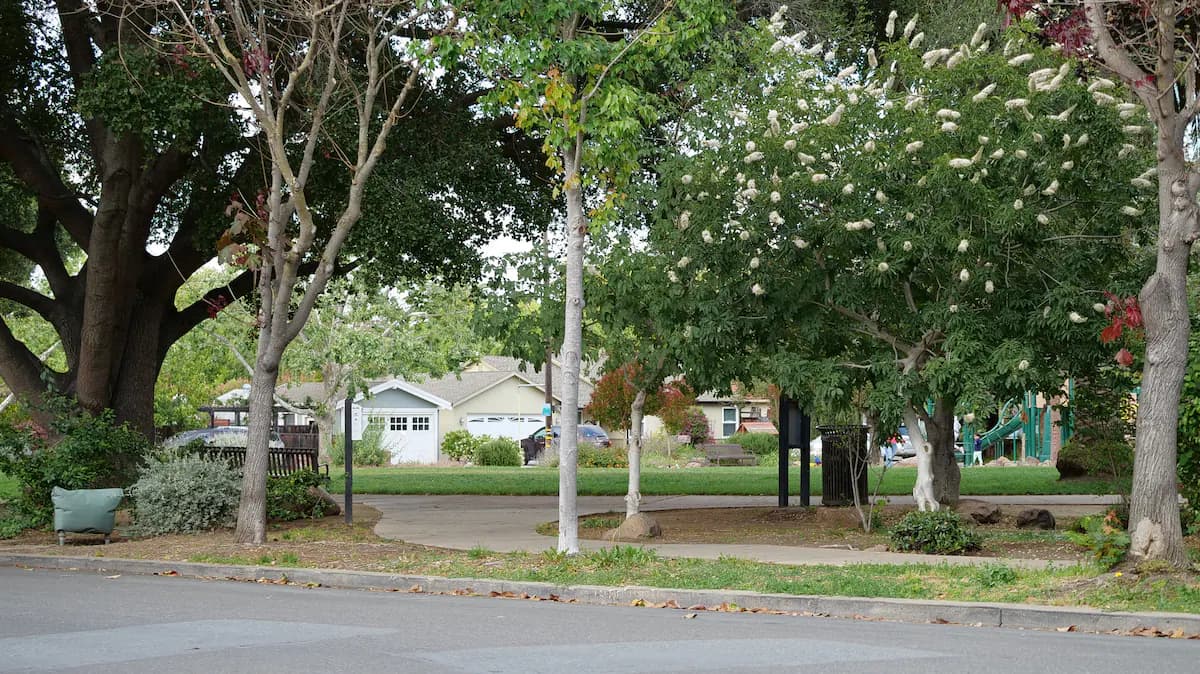 Charming Craftsman Flat, Steps to Downtown - Photo 18