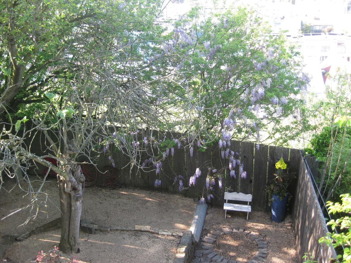 Mission Bernal 2 BR Charmer - Photo 17