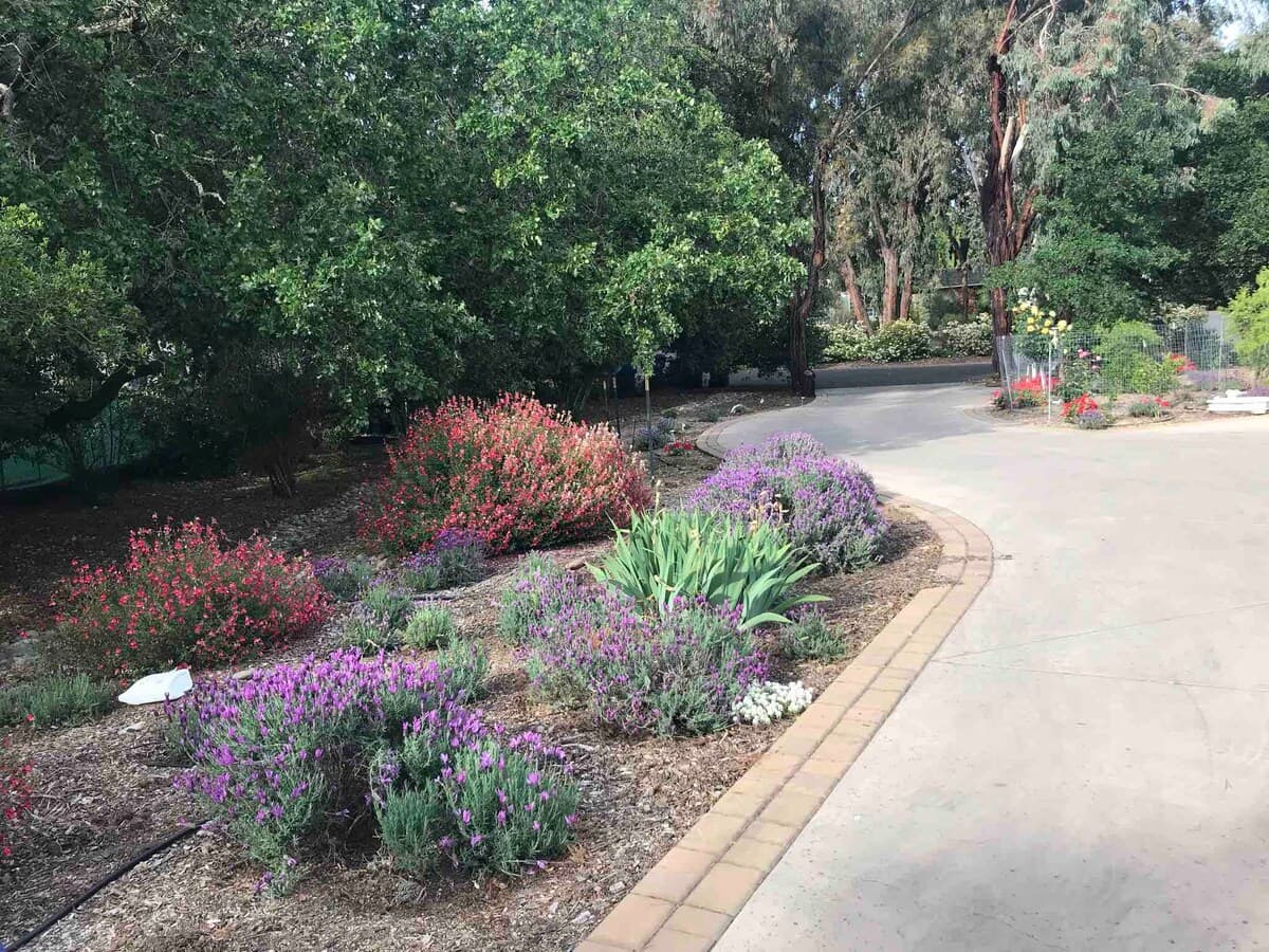 Guesthouse in Los Altos Hills · ★4.85 · 2 bedrooms · 2 beds · 1 bath - Image 36