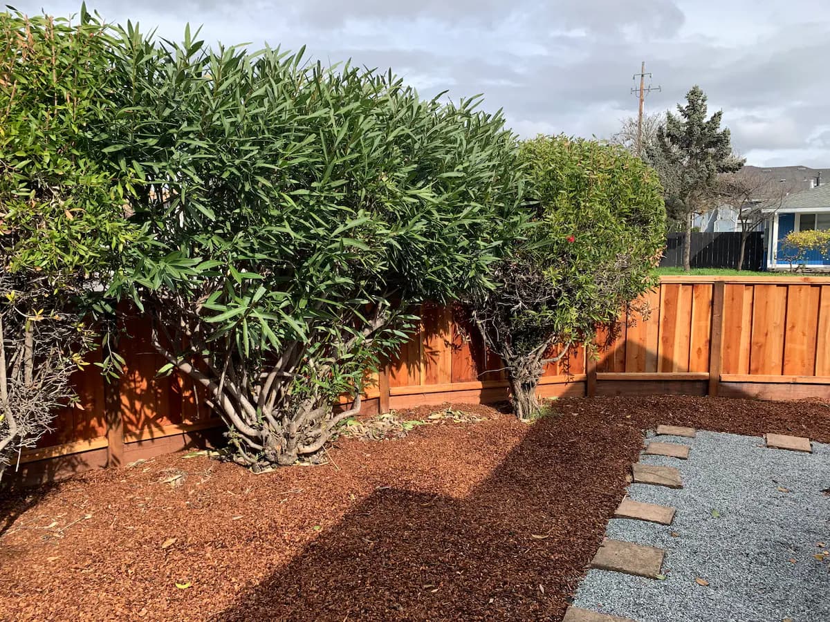 Home in East Palo Alto · ★4.88 · 3 bedrooms · 3 beds · 1.5 baths - Image 50