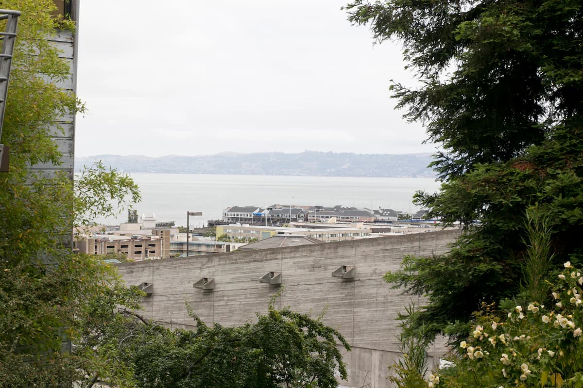 Russian Hill/ North Beach Garden Apartment - Photo 49