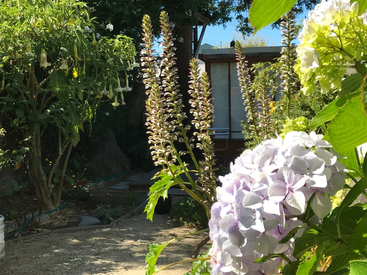 Victorian with Bay Views & Garden, Noe Valley - Photo 21