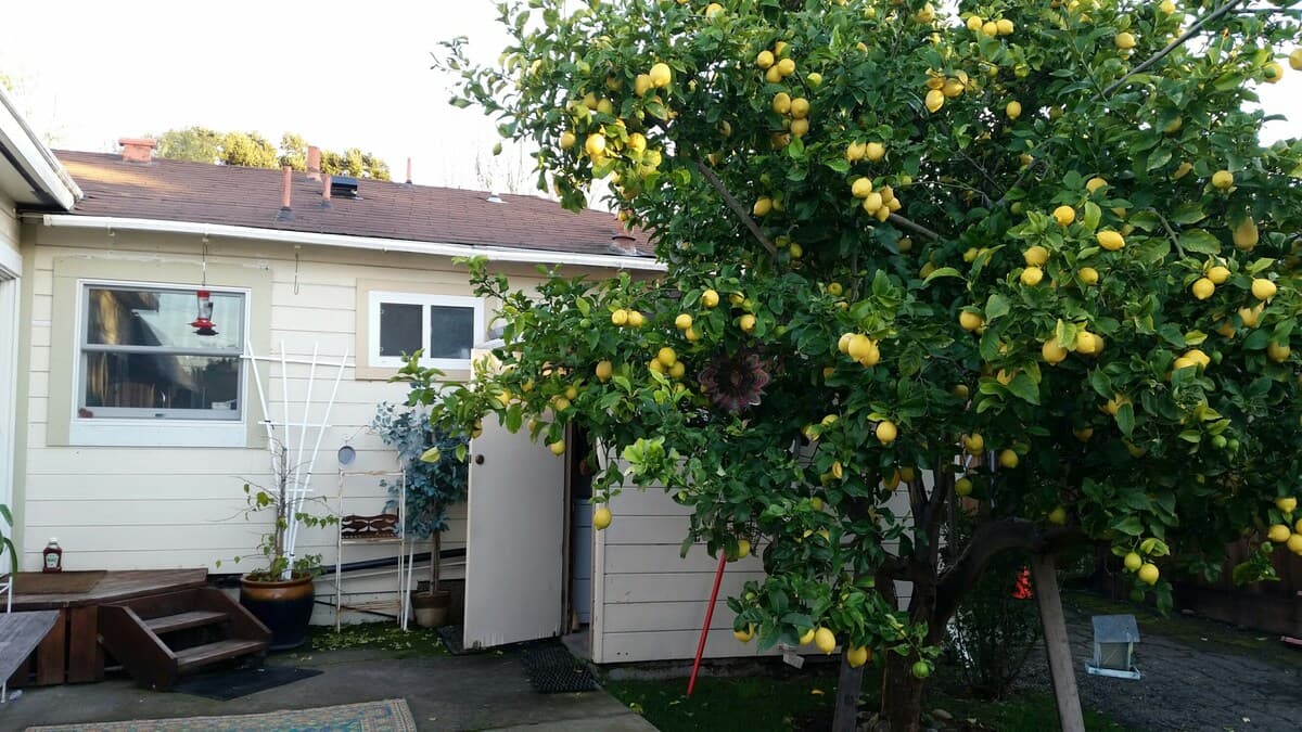 Home in Redwood City · ★4.94 · 2 bedrooms · 2 beds · 2 baths - Image 42