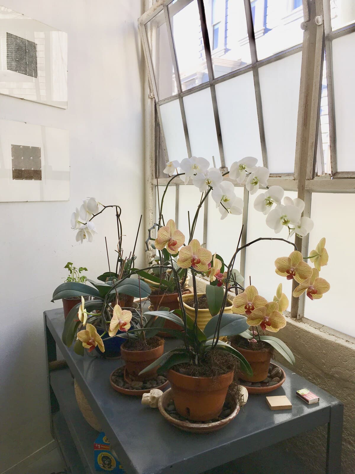Private Light-filled Suite in Artist Loft - Photo 17
