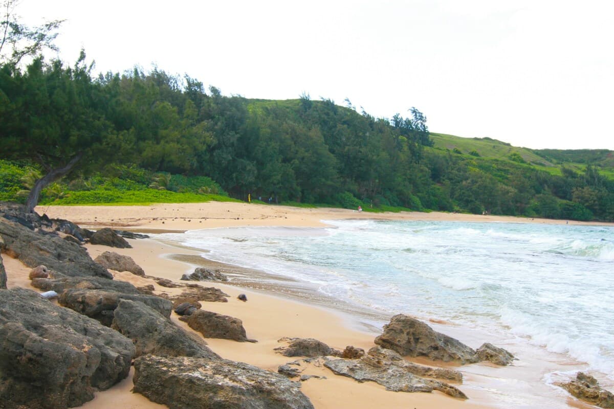 Spectacular Moloa'a Bay on the Beach - Image 18