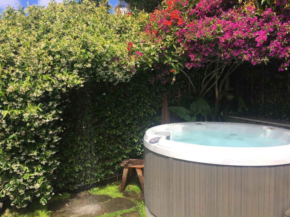 Mid-Century Modern Home with Hot Tub & Garden - Photo 24