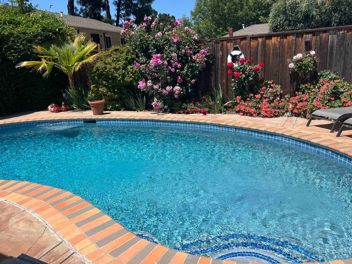 Home in Mountain View · ★4.88 · 1 bedroom · 1 bed · 1 bath - Image 22