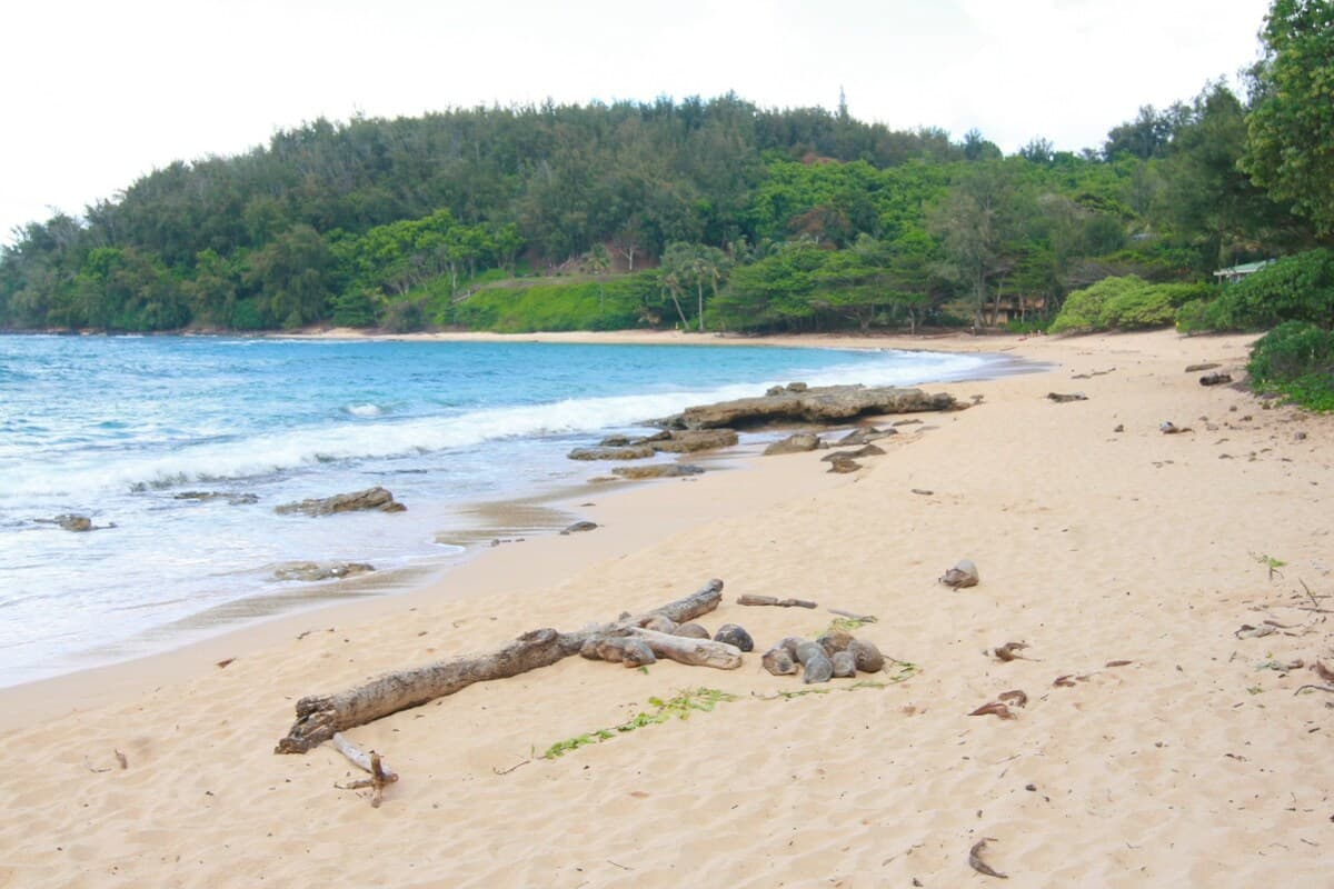 Spectacular Moloa'a Bay on the Beach - Image 19
