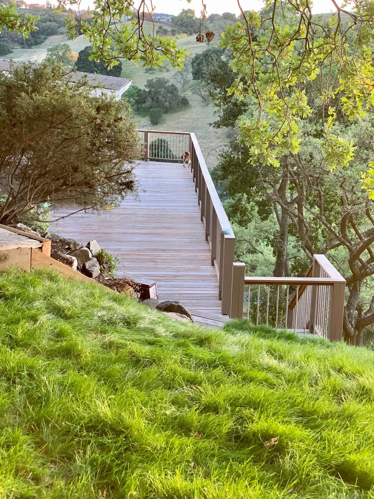 Home in Los Altos Hills · ★5.0 · 3 bedrooms · 4 beds · 2.5 baths - Image 27
