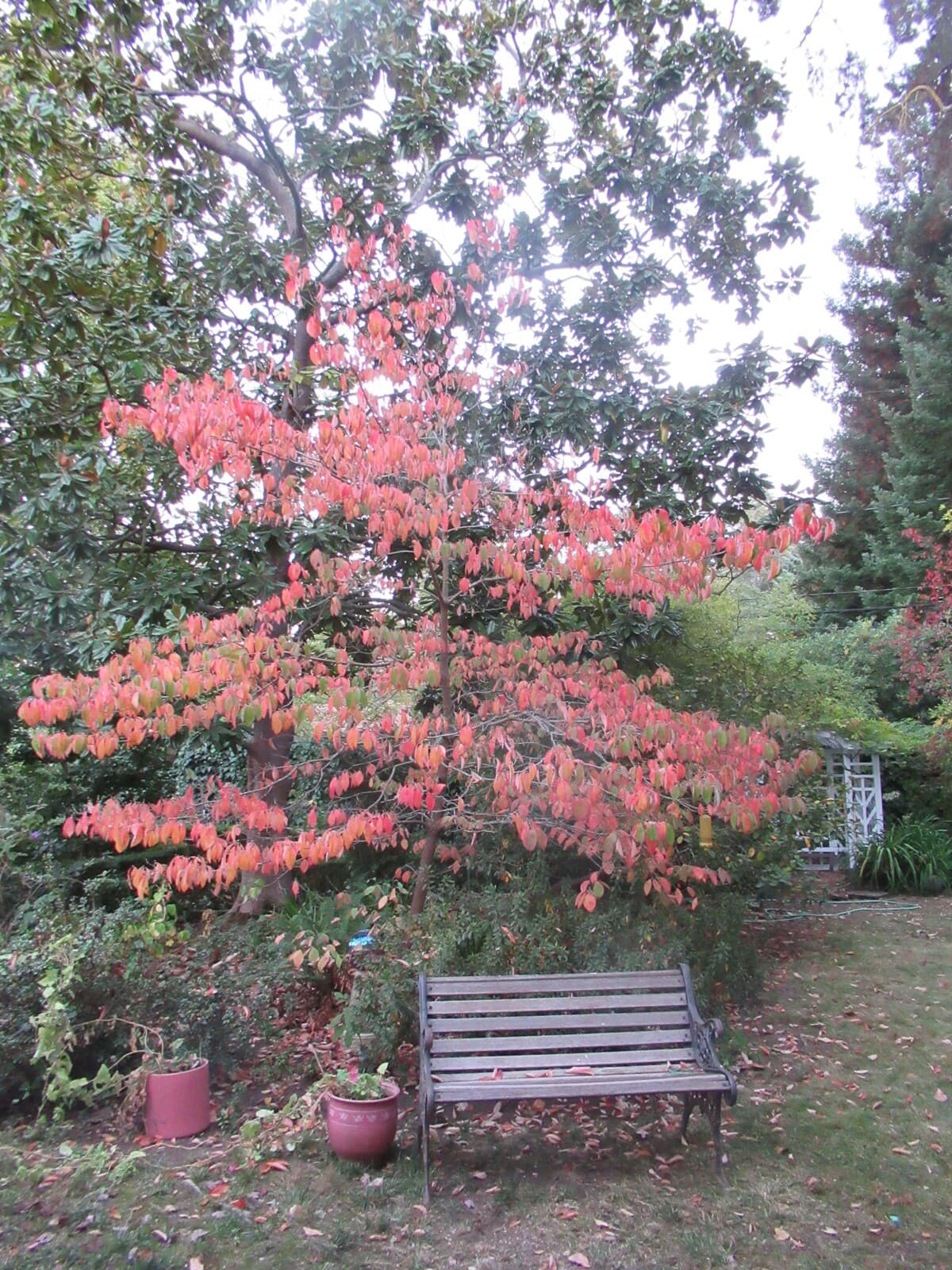 Guesthouse in Atherton · ★5.0 · 1 bedroom · 1 bed · 1 bath - Image 46