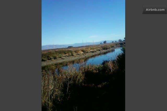 3BR Near Facebook & Google, No Pets/Smoking - Photo 13