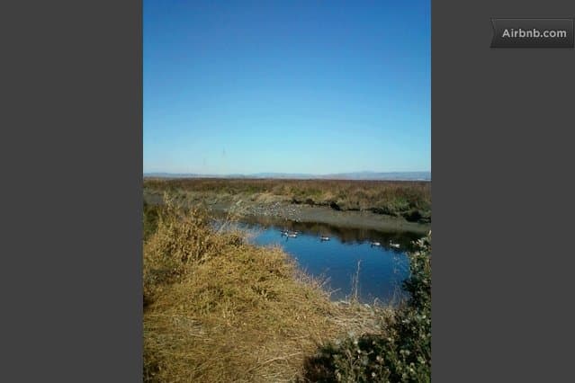 3BR Near Facebook & Google, No Pets/Smoking - Photo 14